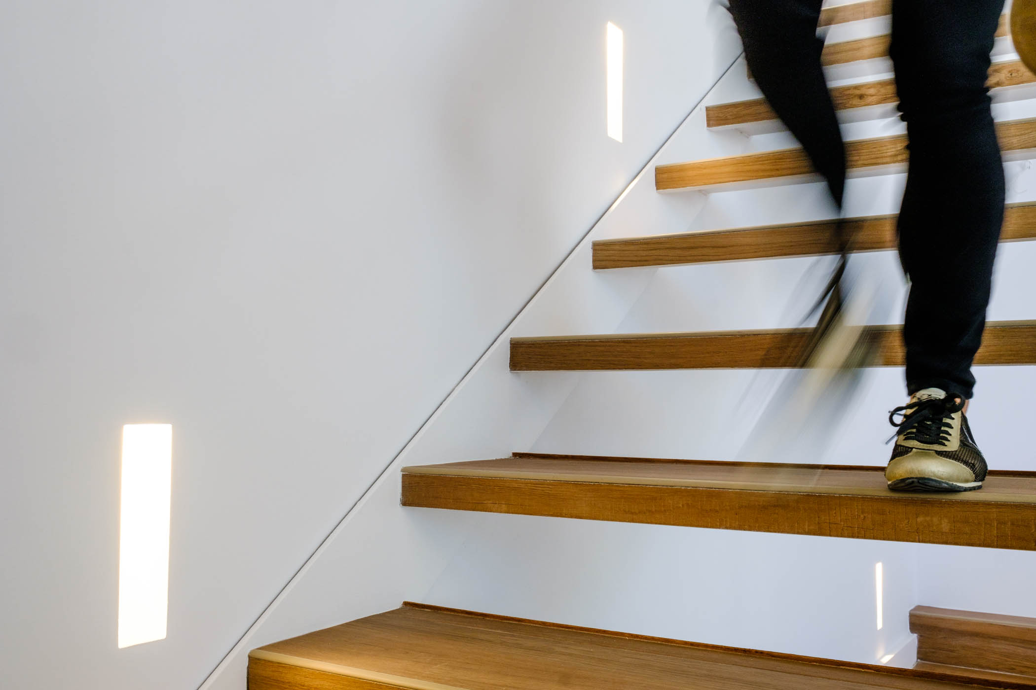 Arquitectura / Interiorismo